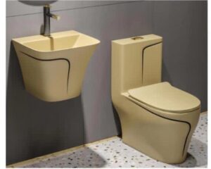 Gold Line WC with Hanging Basin