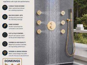 Elegant Modern Conduit Rain shower System